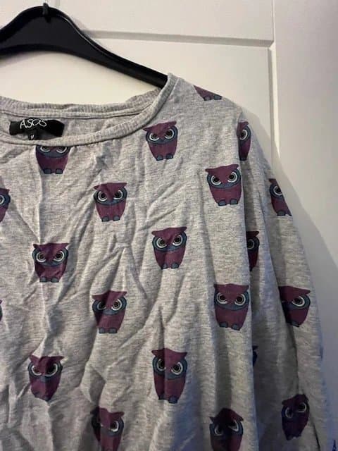 ASOS ASOS Owl Print Sweatshirt – Size 14