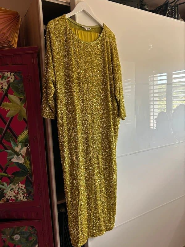 Never Fully Dressed Never Fully Dressed Sequin dress