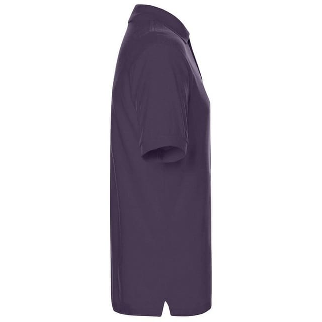 James and Nicholson James and Nicholson Men's Classic Polo Shirt in Aubergine - 3