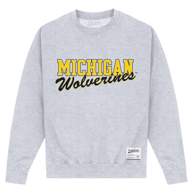 Michigan Wolverines Michigan Wolverines Men's Printed Navy Sweatshirt in Grey - 3