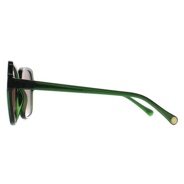 Radley Radley Women's Square Transparent Dark Green Brown Phoenix 6505 - 3