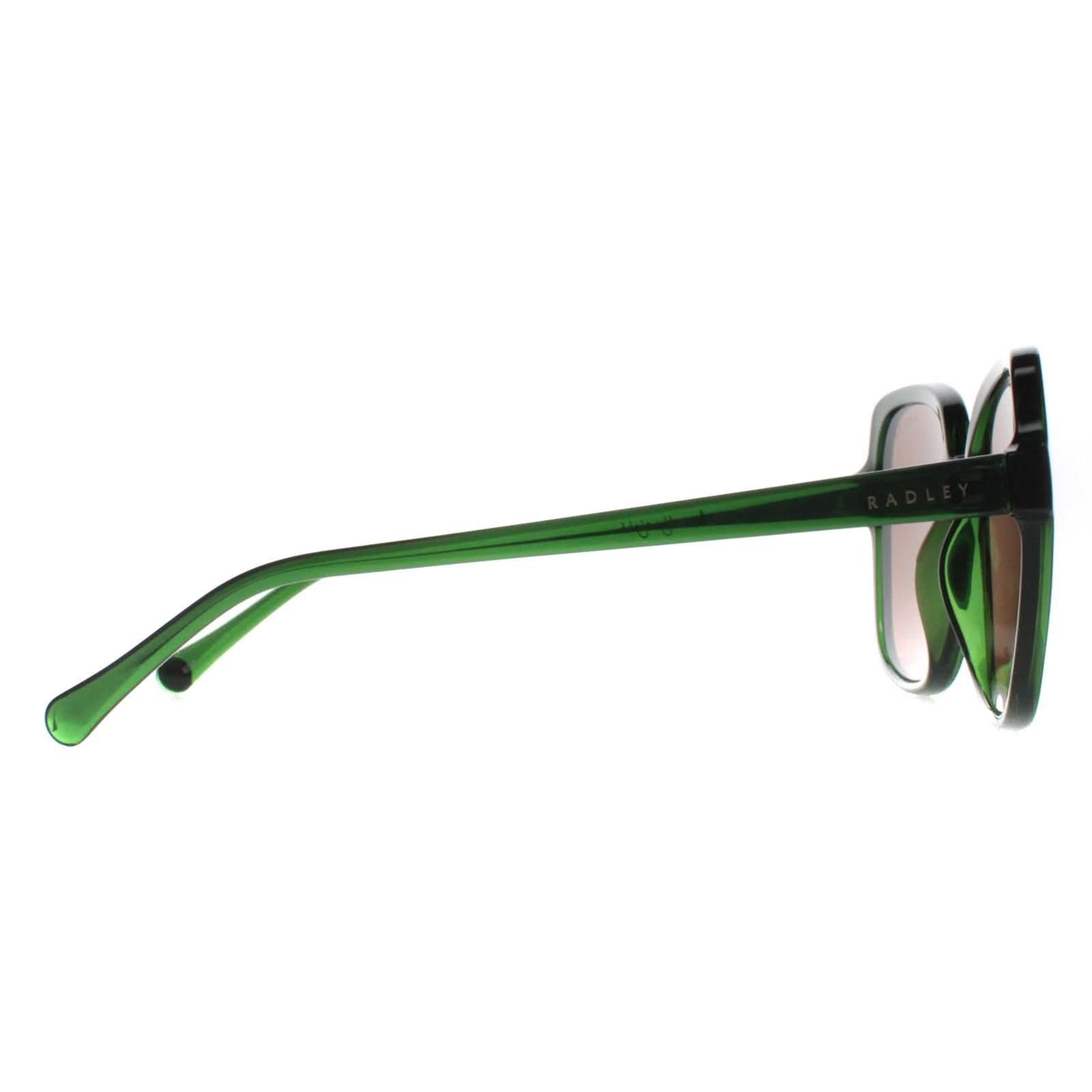 Radley Radley Women's Square Transparent Dark Green Brown Phoenix 6505 - 4