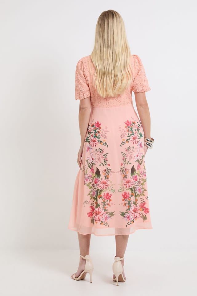 Wallis Wallis Women's Petite Floral Lace Button Midi Dress in Blush - 3