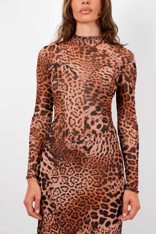 Jaded Rose Jaded Rose Women's Mia Leopard Mesh Maxi Dress - High Neck Long Sleeve - 3