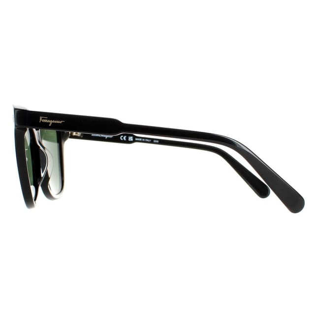 Salvatore Ferragamo Salvatore Ferragamo Women's Square Black Green SF815S - 3