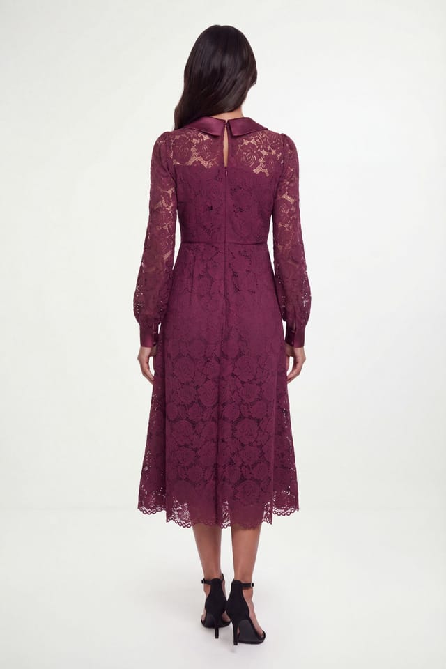 Wallis Wallis Women's Lace Collar Midi Dress in Berry - 2