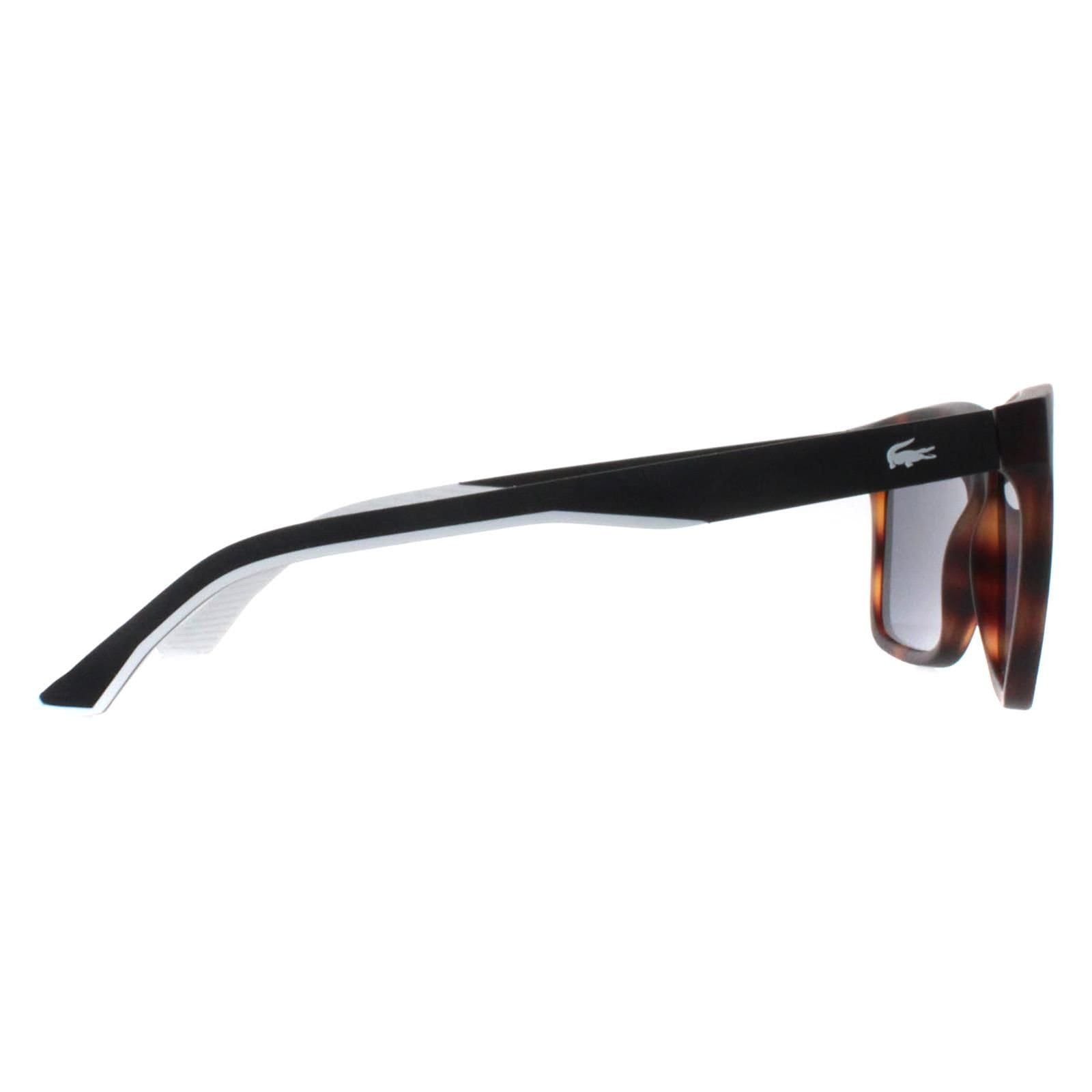 Lacoste Lacoste Men's Rectangle Matte Havana Grey L972S in Brown - 4