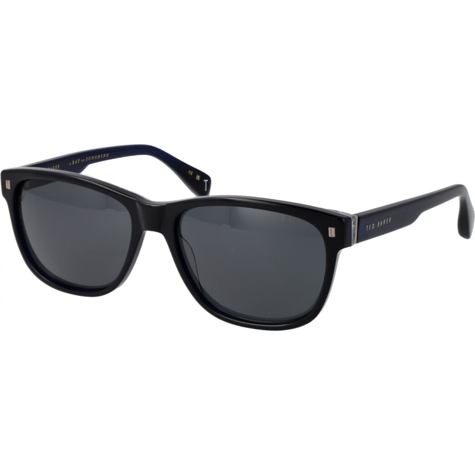 Ted Baker Ted Baker Men's TB1753 58645 Square/Rectangle Sunglasses in Blue
