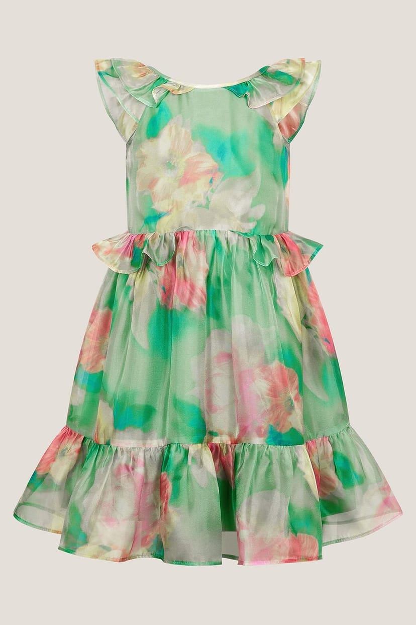Monsoon Monsoon Women's Blurry Floral Organza Ruffle Dress Green - 1