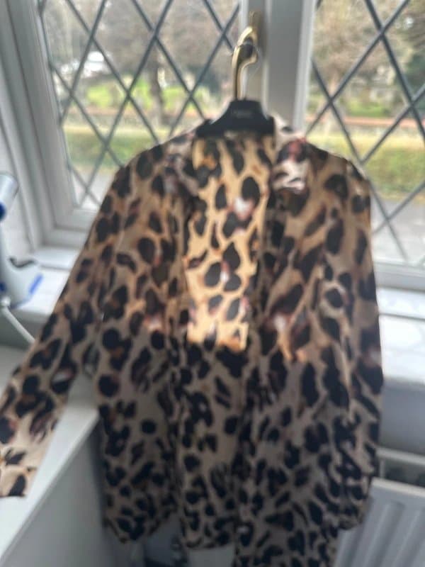 Never Fully Dressed Never fully dressed silk leopard print shirt dress