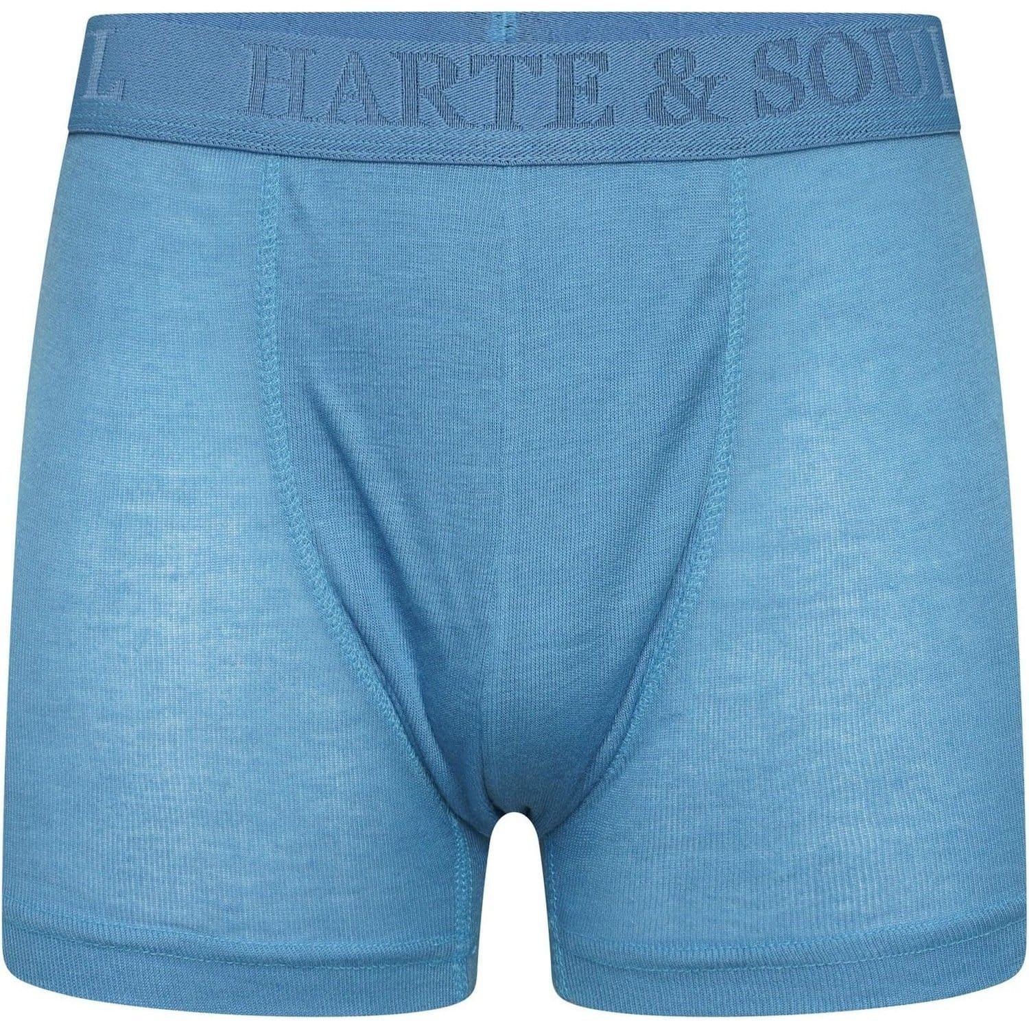 Harte & Soul Harte & Soul Men's Plain Bamboo Boxer Shorts (Pack of 12) - 4