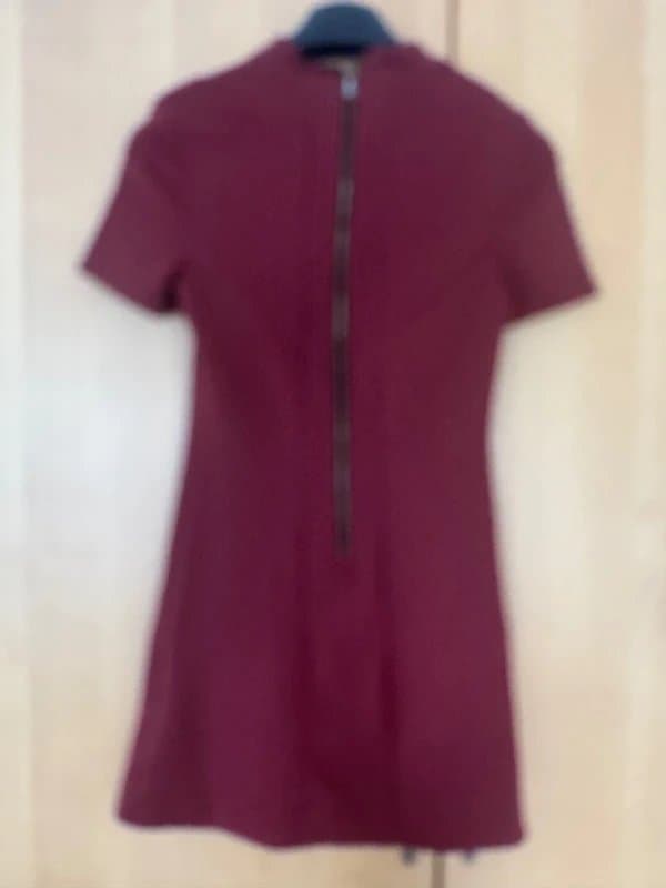 Topshop Topshop Burgandy Mini Dress
