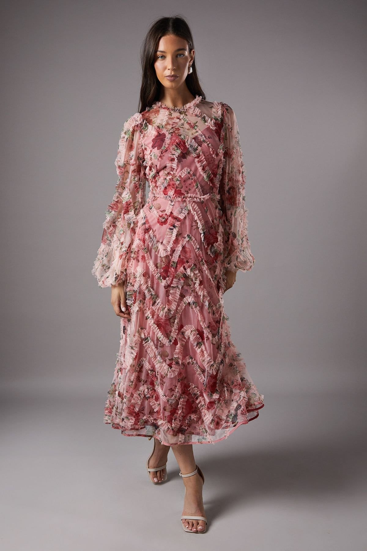 Coast Pink Floral Applique Midi Dress with Long Sleeves