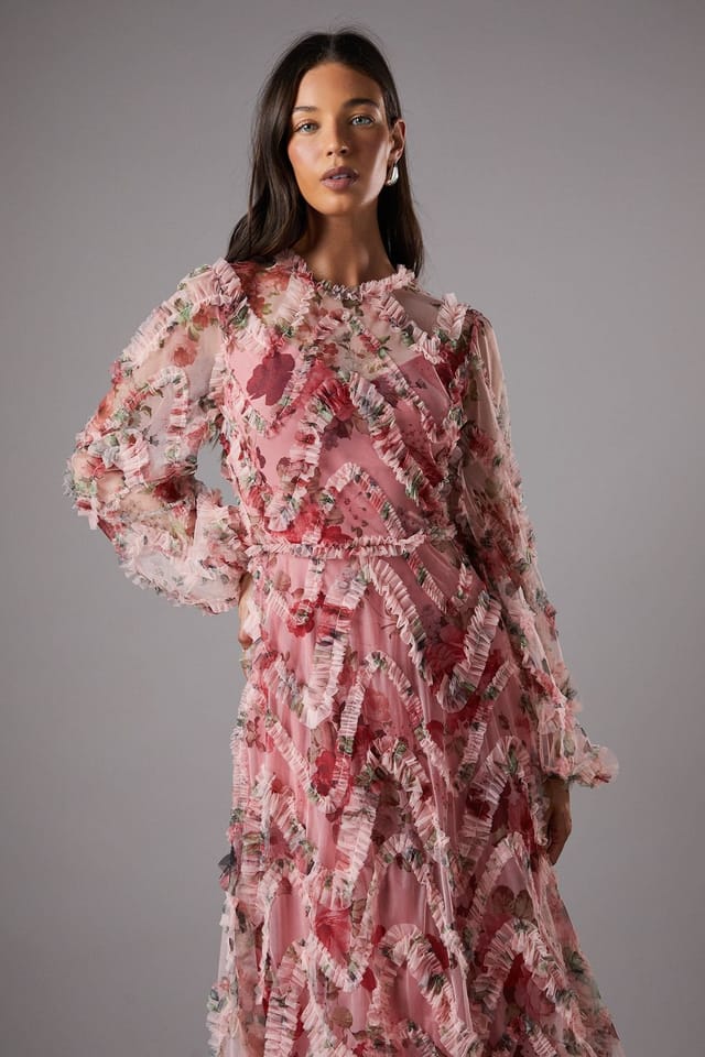 Coast Coast Women's Long Sleeve Applique Floral Midi Dress in Pink - 2