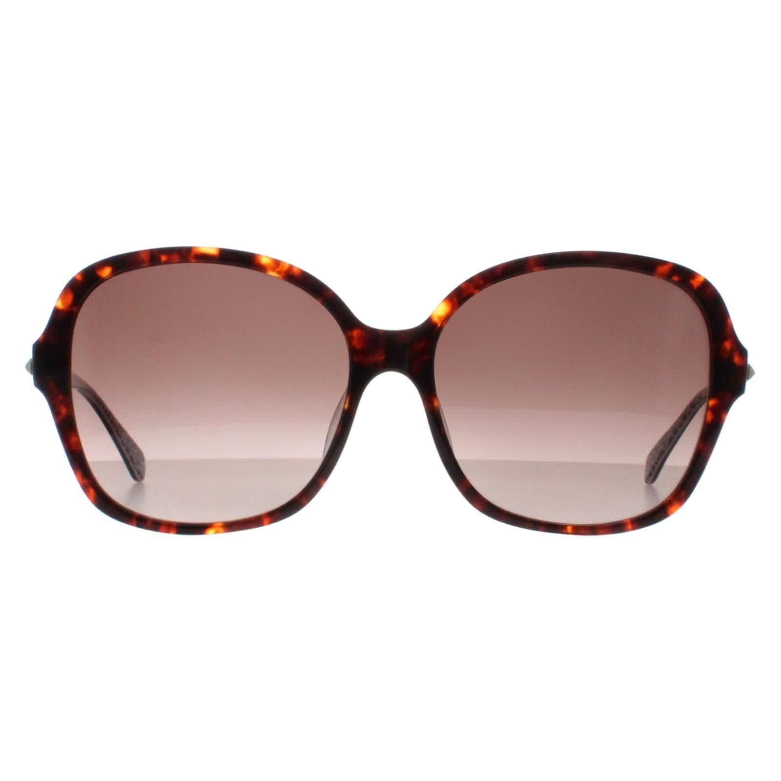 Kate Spade Kate Spade Women's Buttefly Havana Brown Gradient Kaiya/F/S