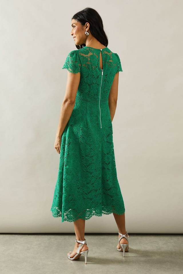 Wallis Wallis Women's Lace Fit & Flare Midi Dress in Green - 3