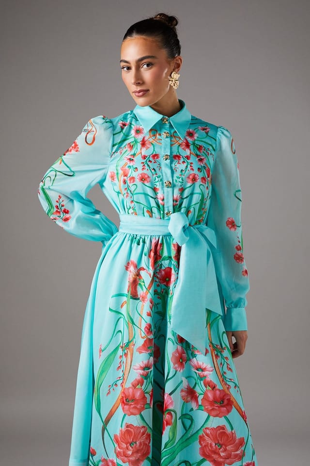 Coast Coast Women's Boarder Print Organza Shirt Dress in Mint - 2