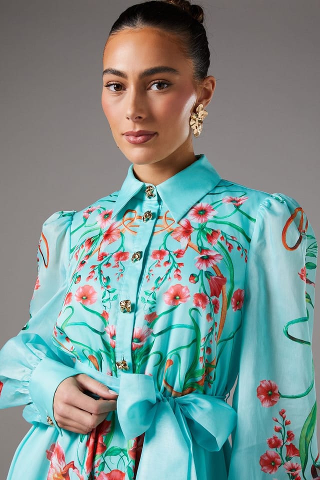 Coast Coast Women's Boarder Print Organza Shirt Dress in Mint - 3
