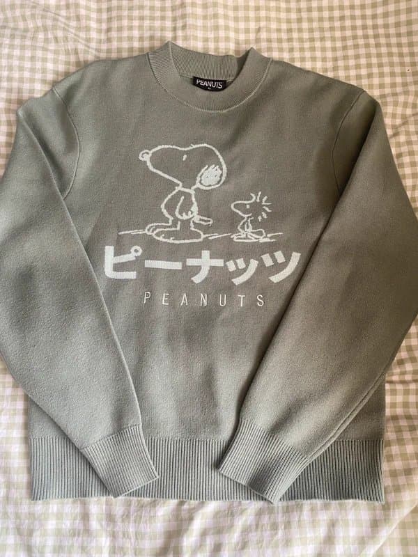 Next Peanuts Snoopy jumper