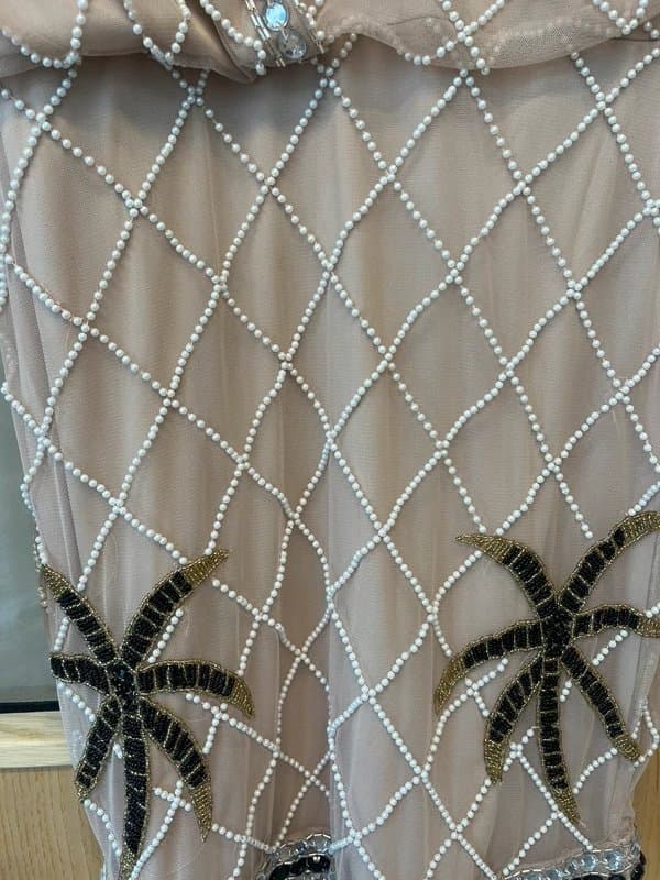 Frock and Frill Embellished Pearl Dress with Details