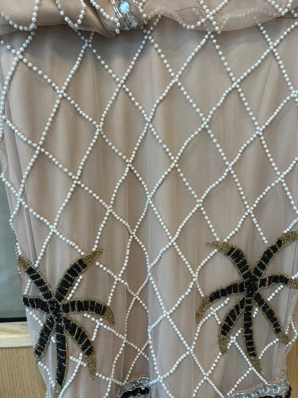 Frock and Frill Embellished Pearl Dress with Details