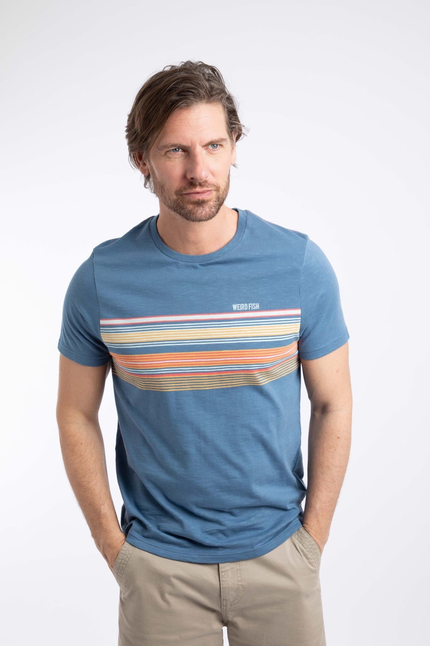 Weird Fish Weird Fish Men's Cody Printed Stripe T-Shirt in Mid Blue