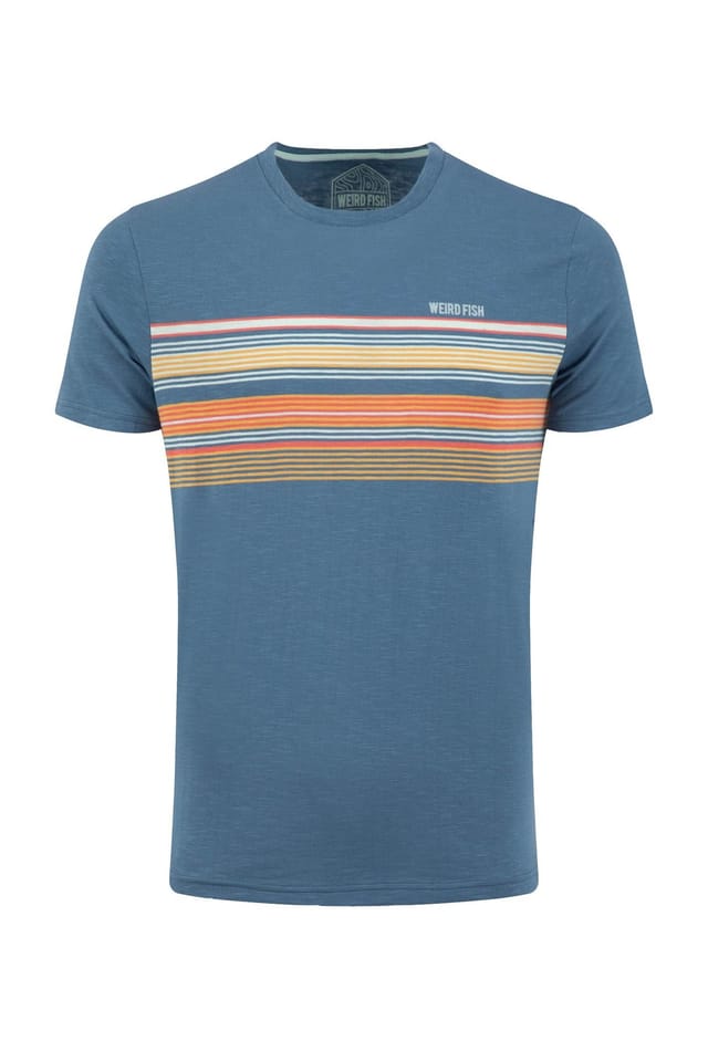 Weird Fish Weird Fish Men's Cody Printed Stripe T-Shirt in Mid Blue - 2