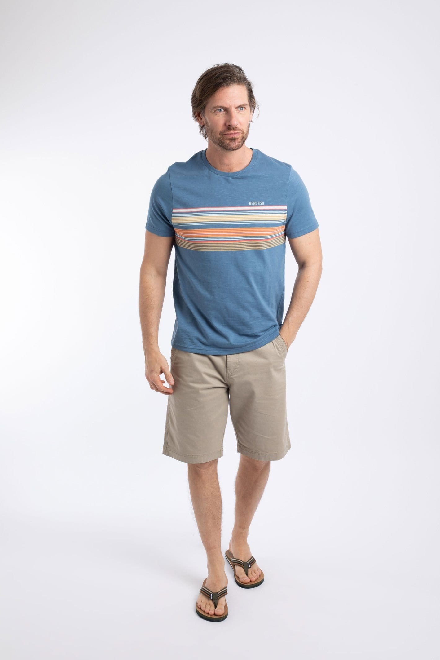 Weird Fish Weird Fish Men's Cody Printed Stripe T-Shirt in Mid Blue - 4