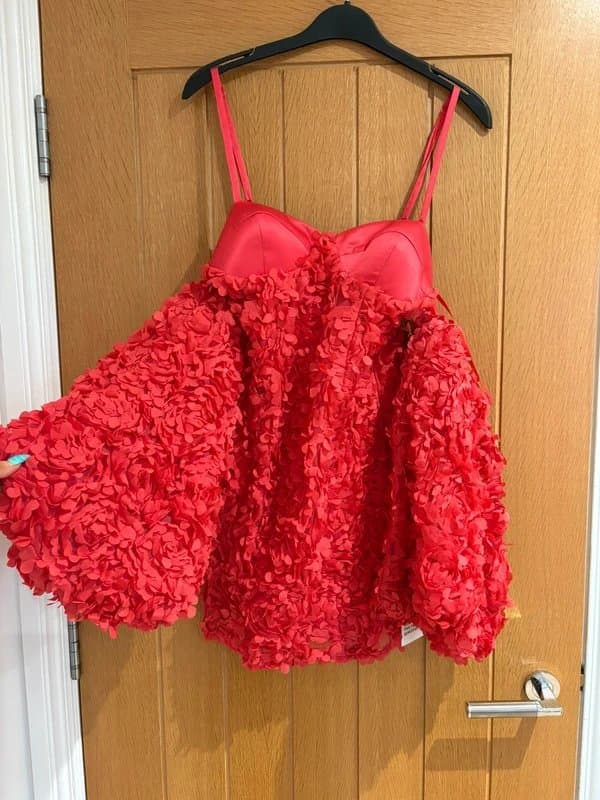 ASOS ASOS Luxe 3D Flower Dress with Puff Sleeves