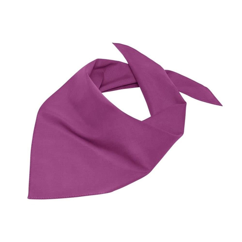 Myrtle Beach Myrtle Beach Men's Triangular Scarf in Purple