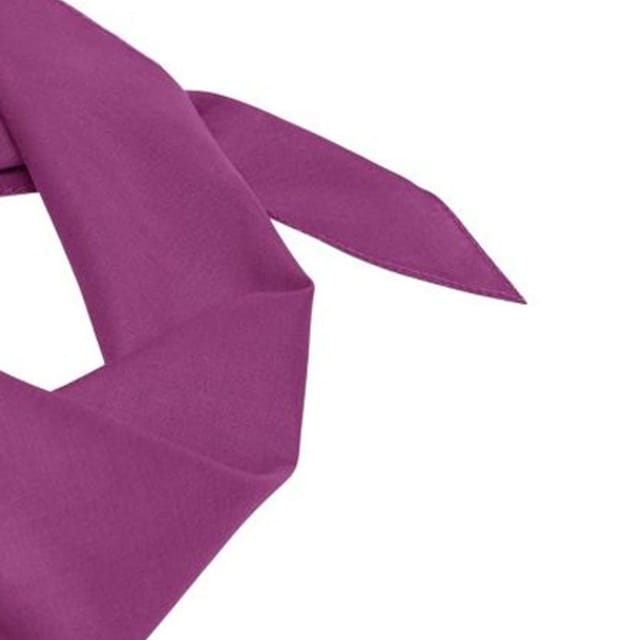 Myrtle Beach Myrtle Beach Men's Triangular Scarf in Purple - 2