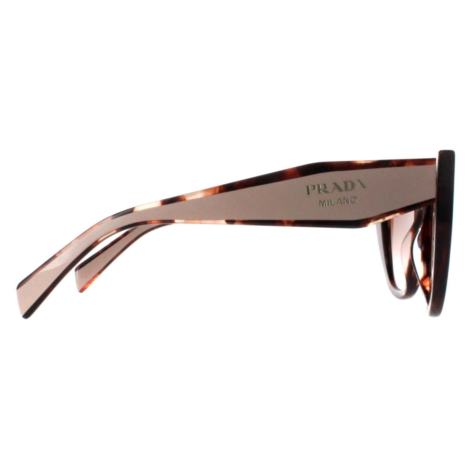 Prada Prada Women's Cat Eye Caramel Tortoise & Powder Brown Gradient PR14WS - 4
