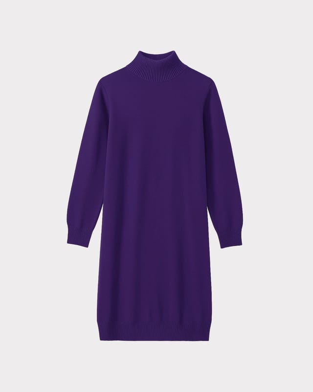 Kettlewell Kettlewell Women's Turtle Neck Knitted Dress in Purple - 2