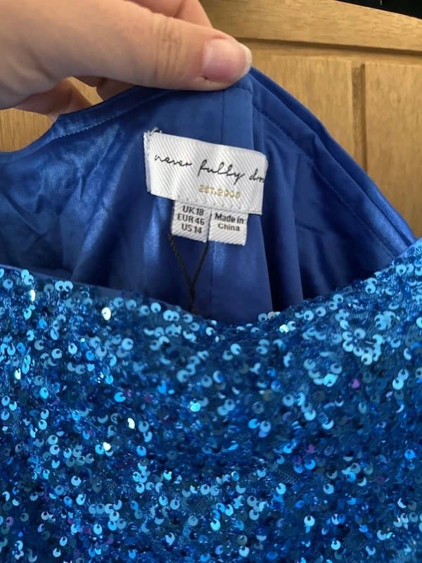 Never Fully Dressed Never Fully Dressed Blue Sequin top size 18