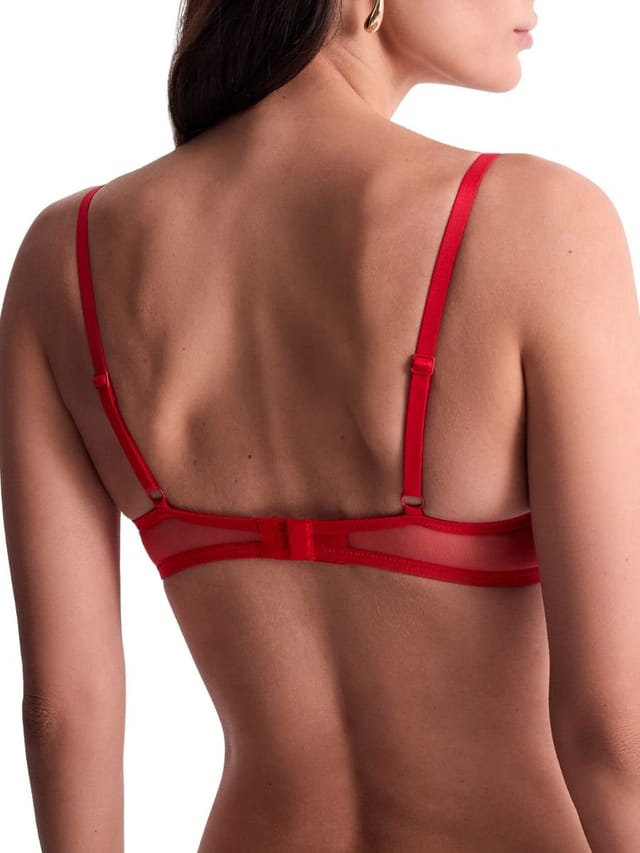 Aubade Aubade Women's Sheer Emotion Push-Up Bra in Red - 2