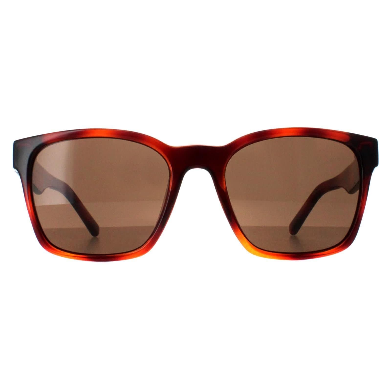 Salvatore Ferragamo Salvatore Ferragamo Women's Square Tortoise Brown SF959S
