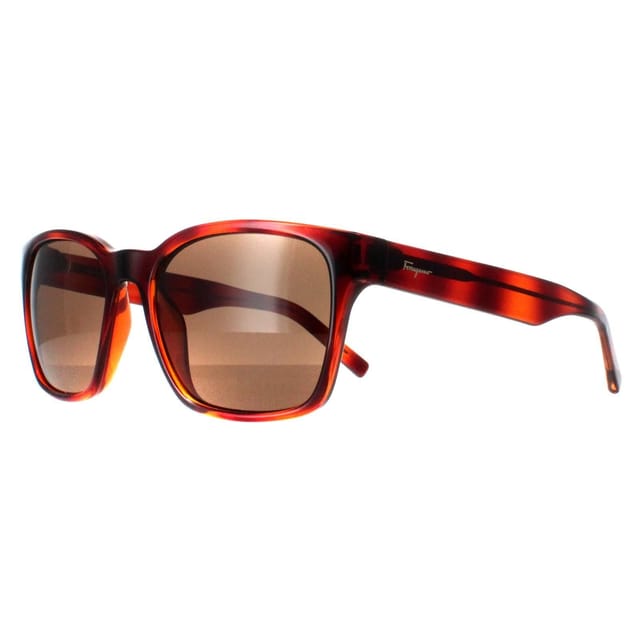 Salvatore Ferragamo Salvatore Ferragamo Women's Square Tortoise Brown SF959S - 2