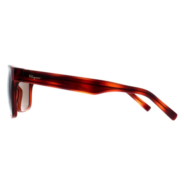 Salvatore Ferragamo Salvatore Ferragamo Women's Square Tortoise Brown SF959S - 3