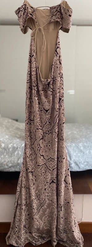 ASOS Long Velvet Floral Dress – Beige & Pink with Black Pattern