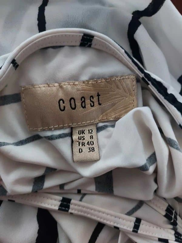 Coast Coast Asymmetrical Dress