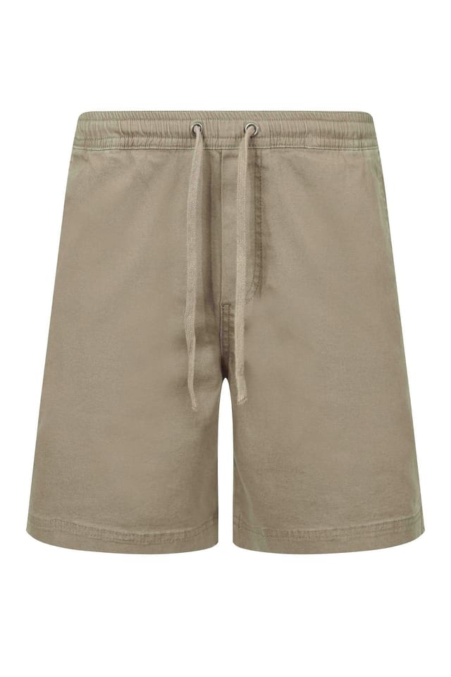 Weird Fish Weird Fish Men's Weston Canvas Shorts in Beige - 2