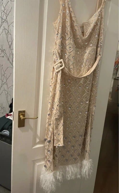 ASOS ASOS Luxe Size 22 dress