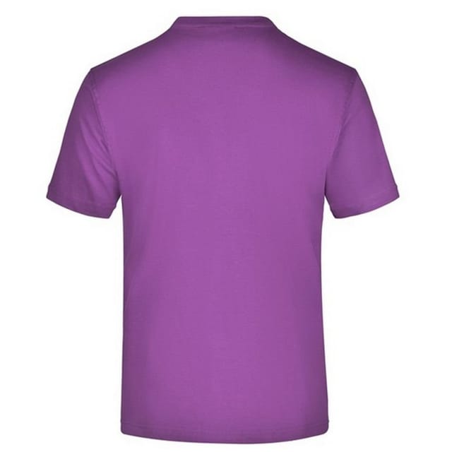 James and Nicholson James and Nicholson Men's Medium Round Neck T-Shirt in Purple - 2