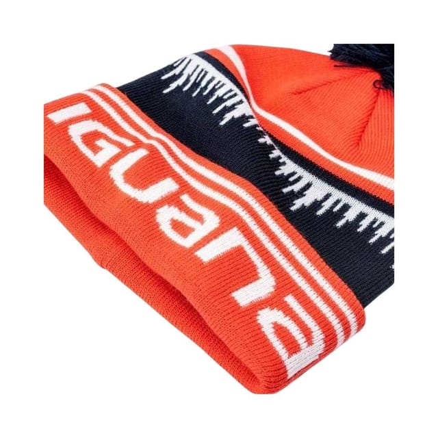 Iguana Iguana Men's Logo Acrylic Beanie in Red - 2