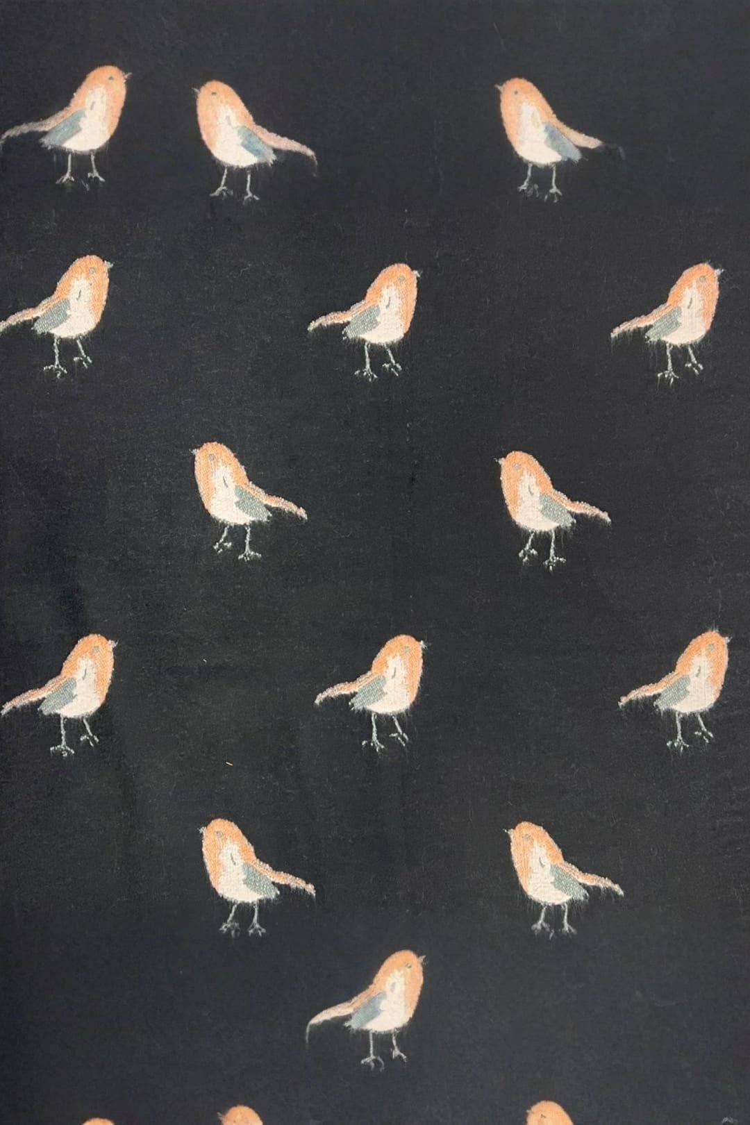 SVNX SVNX Women's Robin Embroidered Reversible Scarf in Black - 3