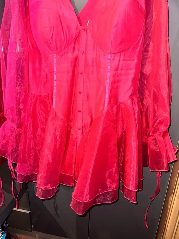 ASOS ASOS luxe Curve cupped organza mini dress