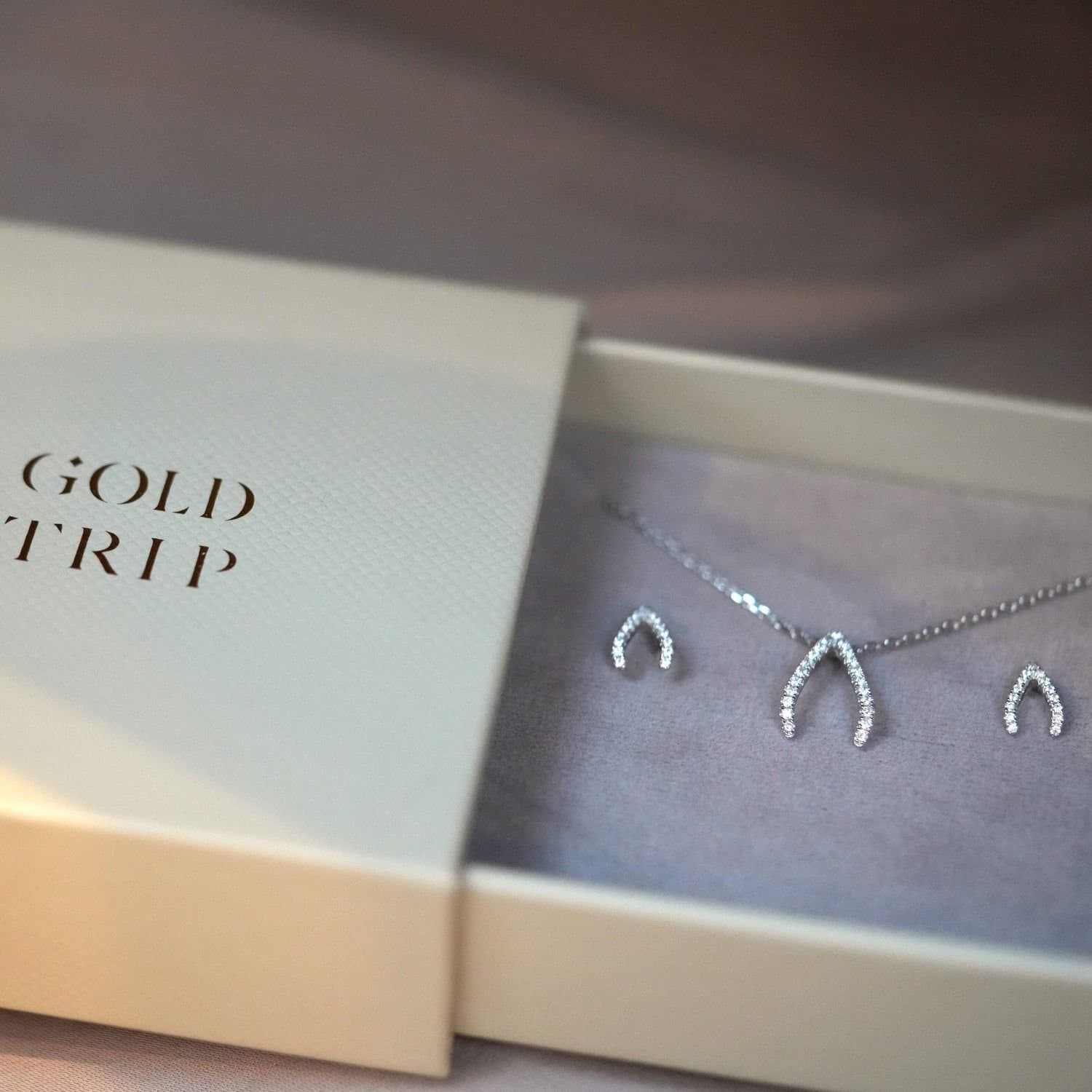 Gold Trip Gold Trip Women's Sparkling Wishbone Necklace & Earrings Gift Set in Silver