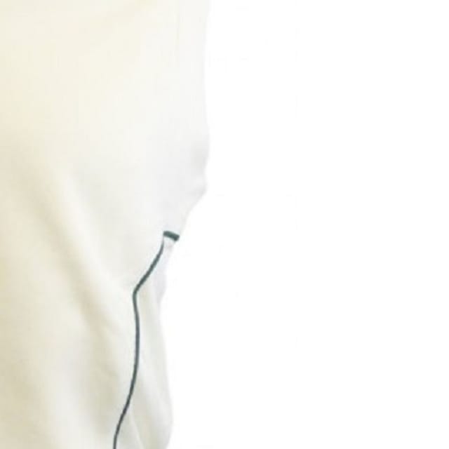 Carta Sport Carta Sport Men's Contrast Trim Pullover Cricket Vest in Green - 2