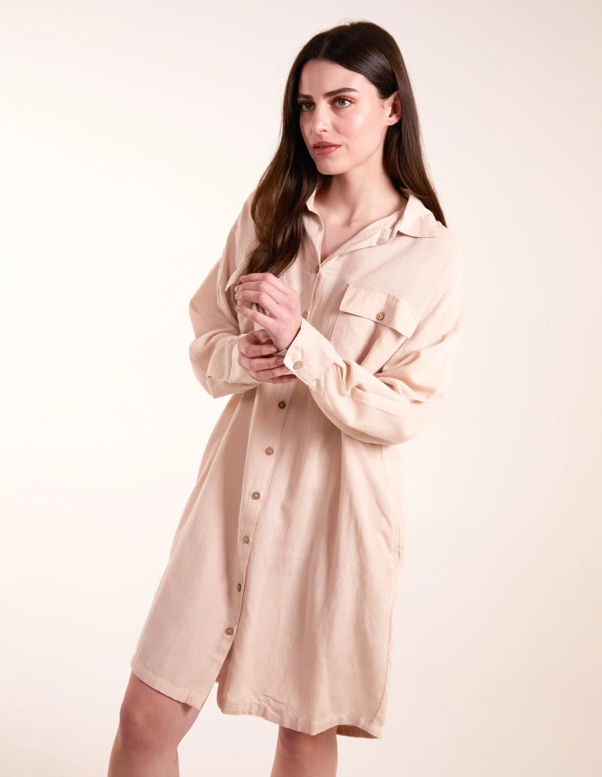 Blue Vanilla Utility Shirt Dress