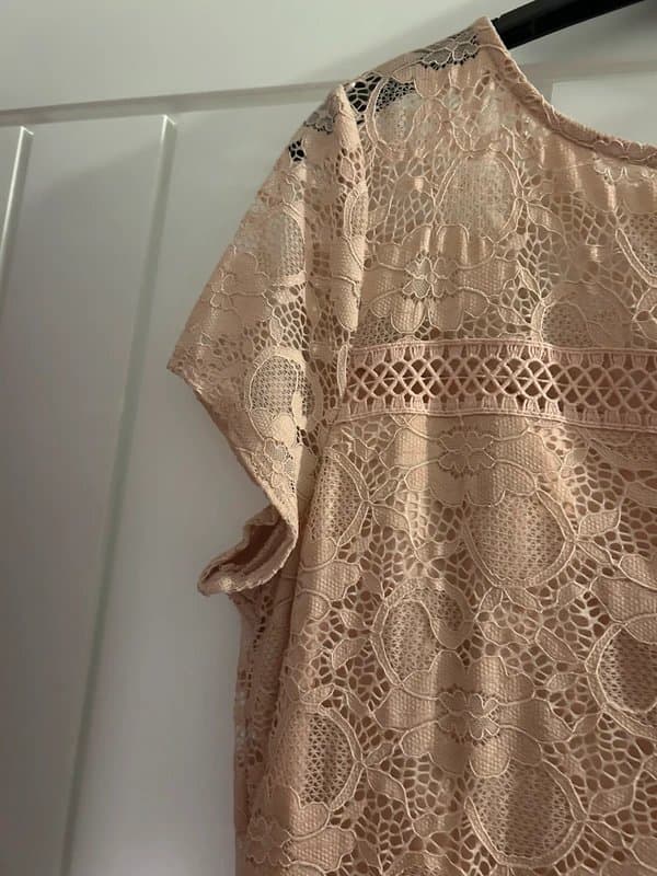 Wallis Wallis size 14 lace pink dress - wedding